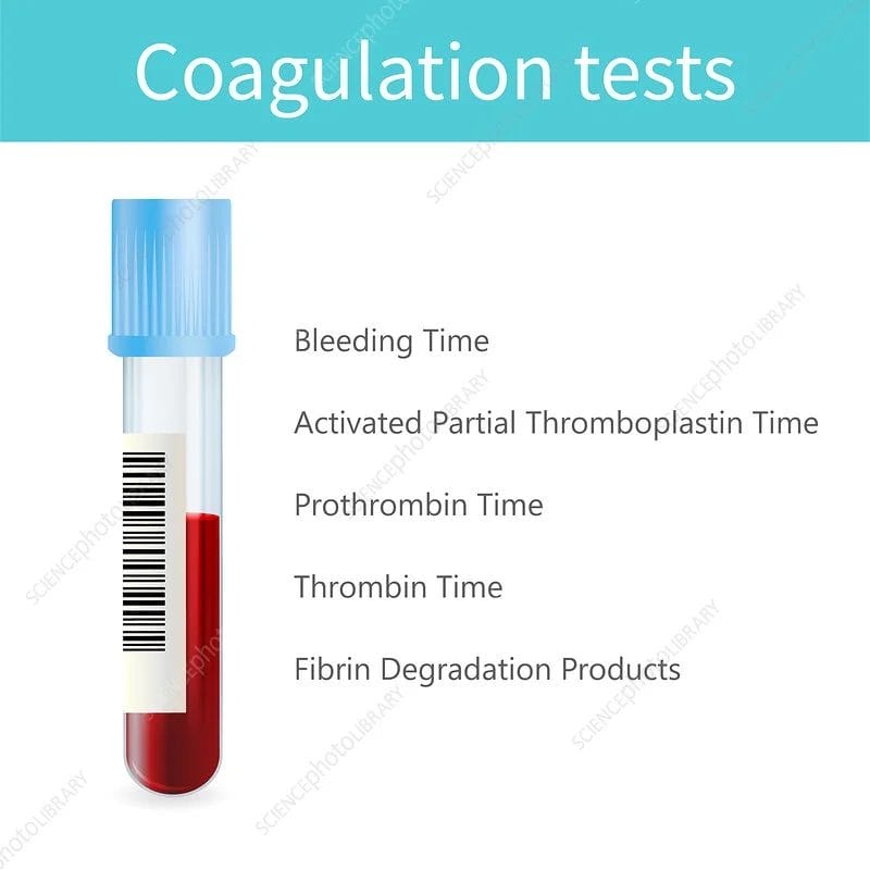 Everything You Need to Know About Laboratory Tests for Better Health