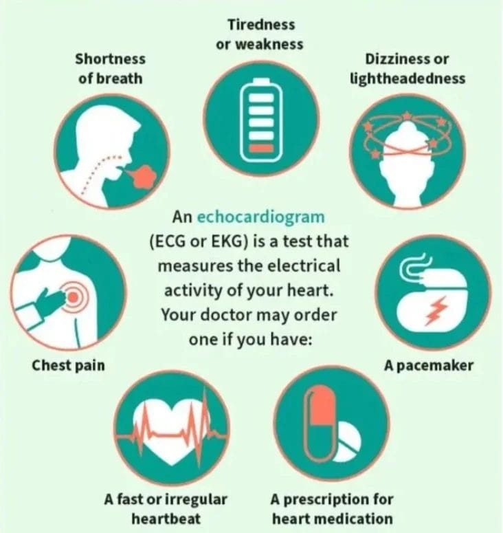Understanding the Importance of EKG Testing