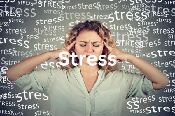 Stressed Reach out to your primary care doctor for help
